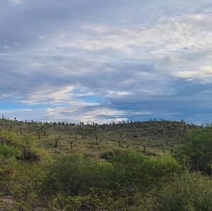 Meet your Posher, Ramon